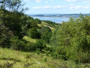 Arnside Knott viast 12.8.15 - Copy