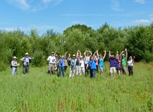 Knepp Safaris - 100 up! 11.7.15 - Copy