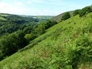 Heddon. Ladies Mile slope 18.6.15 - Copy