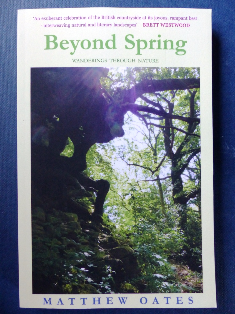 Beyond Spring (published Oct. 2017)
