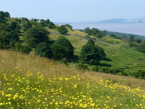 Arnside Knott N Slope 9.7.2013 - Copy