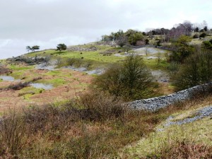 Arnside knott 4 - Copy