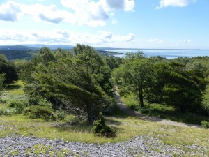 Silverdale from Arnside Knott 12.8.15 - Copy